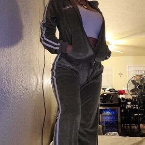 Hale Bob Velvet Tracksuit